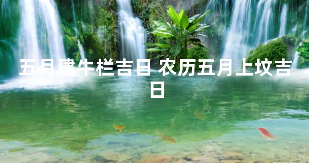 五月建牛栏吉日 农历五月上坟吉日